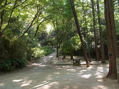 生田緑地内の園路